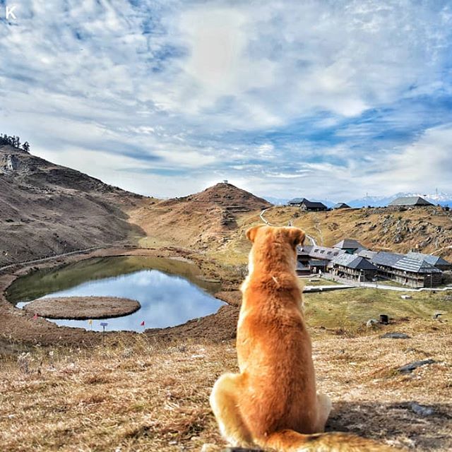 29088293_2053569201597470_4394277161905684480_n