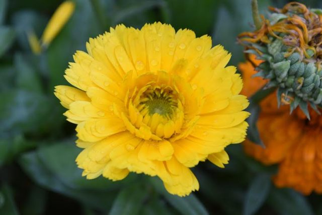 3bd73d55-fb7f-449c-acab-f064bde3b0eb